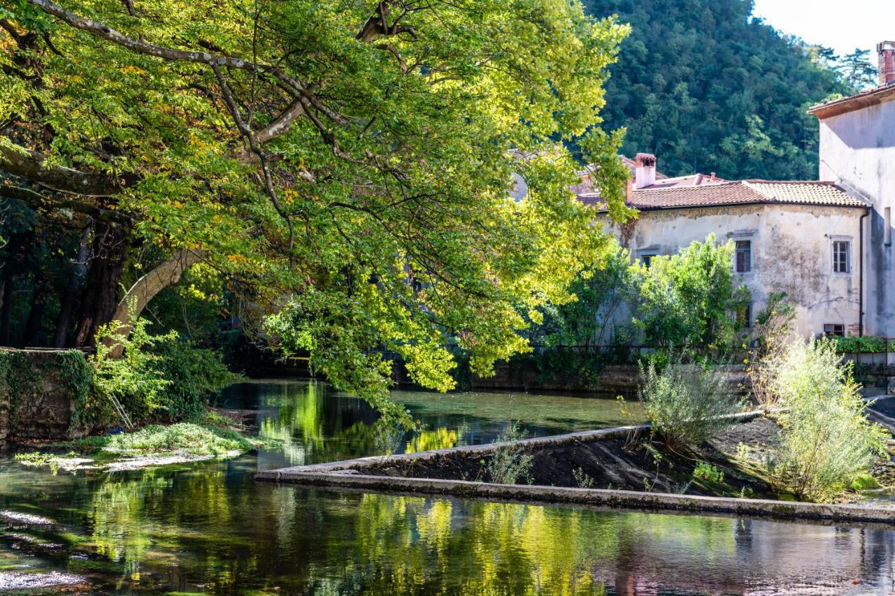 Apartmán Panorama Glamping Vipavska Dolina Dobravlje Exteriér fotografie