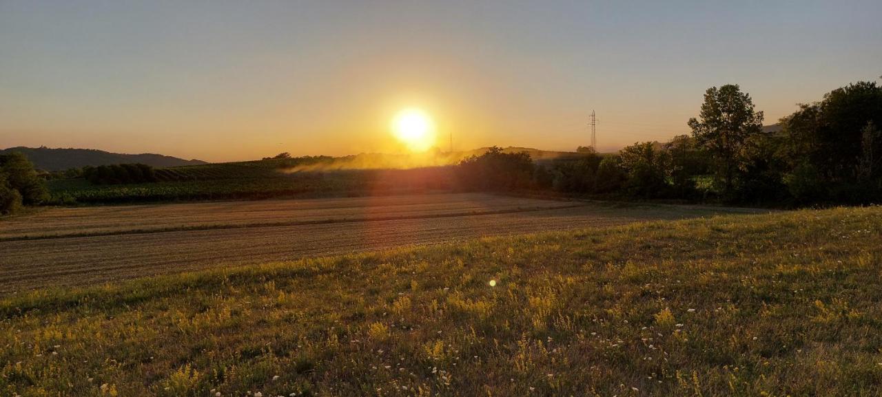 Apartmán Panorama Glamping Vipavska Dolina Dobravlje Exteriér fotografie